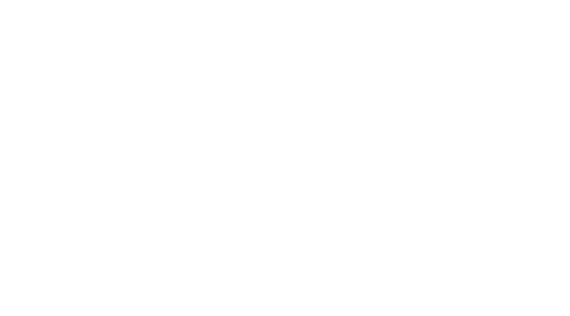 Virallinen logo Suomen Viestilaitehuolto